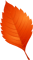 Leaves (3).png