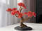Red-bonsai-tree-on-table.jpeg