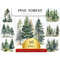 MR-2782023143416-set-of-16-watercolor-forest-tree-clipart-pine-tree-png-image-1.jpg