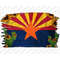 MR-3082023215134-cactus-sunflower-arizona-flag-png-arizona-flag-png-arizona-image-1.jpg