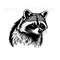 MR-1392023135354-raccoon-svg-raccoon-clipart-raccoon-png-raccoon-head-image-1.jpg