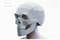 skull helmet_1200px.jpg