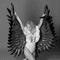 Black  Feather Angel Wings 12.jpg