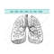 MR-11102023151035-human-lung-svg-lungs-svg-flowery-human-lung-silhouette-image-1.jpg