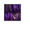 MR-121020231011-enchanting-purple-sparkling-lights-bokeh-digital-backdrops-for-image-1.jpg