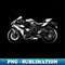 TPL-NQ-20231017-026_2015 Kawasaki Ninja H2 Motorcycle Graphic 1349.jpg