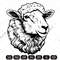 sheep head imv.jpg