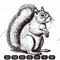 squirrel imv.jpg