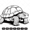 tortoise imv.jpg
