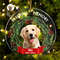 Custom Dog Photo Ornament, Dog Memorial Gift, Loss of Pet, Pet Ornament, Christmas Keepsake, Dog Memorial Ornament, You Left Paw Prints - 6.jpg
