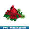 ZV-20231026-8126_Red Cardinals on Christmas decoration 8460.jpg