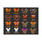 3110202391212-halloween-mouse-and-friends-svg-bundle-trick-or-treat-svg-image-1.jpg