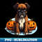 QO-20231102-12126_Halloween Boxer Dog 1 6861.jpg
