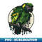YC-20231102-1395_ara parrot bird 8633.jpg