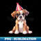 XF-20231102-1789_Birthday Boxer Dog 4068.jpg