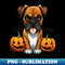 FA-20231103-15114_Halloween Boxer Dog 2 3248.jpg