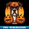 PZ-20231103-15115_Halloween Boxer Dog 4 4007.jpg