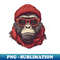 XH-20231103-9340_Gorilla in Red The Glasses and Hat Chronicles 9829.jpg