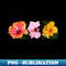 ZZ-20231107-10394_Three Beautiful Hibiscus Flowers 6768.jpg