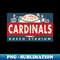 AA-20231109-23770_St Louis Cardinals Banner by  Buck Tee Originals 2488.jpg