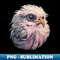 HO-20231110-8768_Eagle Pink Bird 9752.jpg