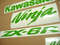 kawasaki-zx6r-ninja-custom-lime-green-graphics-set.JPG