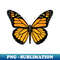 IG-20231114-12661_Monarch Butterfly 2867.jpg