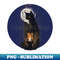 CM-20231115-8580_Giraffe Neck Black Cat - Halloween Candles and Moon 1122.jpg