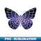 WX-20231116-4679_geometric cosmic butterfly 5279.jpg