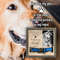 Memorial Pet Collar Frame, Black & White Pet Photo, Loss of Dog, Cat Loss Gift, Pet Owner Memorial Gift, Pet Collar Holder, Bereavement Gift 1.jpg