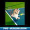 BR-21347_Persian Cat Playing Tennis 3743.jpg