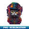HF-5646_Colorful Cat in a Top Hat 4776.jpg