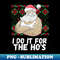 FH-22112_I Do It For The Ho's Funny Inappropriate Christmas Men Santa  1773.jpg