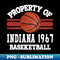 WS-29042_Proud Name Indiana Graphic Property Vintage Basketball 8218.jpg