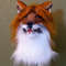 Fox_mask_for_theater_cosplay_party_for_forsuit_3+.jpg