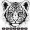 tiger cub imv.jpg