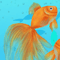 goldfish-love-fengshui-digital-art-fr1.jpg
