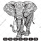 elephant imv.jpg