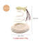 BTYCCat-Scratching-Amusement-Plate-Plush-Spring-Plate-Playing-Cat-Toy-Mouse-Spiral-Steel-Wire-Spring-Linen.jpg