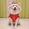 HNgNDog-Clothes-New-Year-Pet-Chinese-Lion-Dance-Costume-Coat-Winter-Puppy-Costume-Small-Dog-Spring.jpg