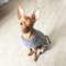 6VSYKnitted-Clothes-For-Dogs-Chihuahua-Sweater-For-Small-Dogs-Winter-Clothes-For-Sphinx-Cat-Dog-Sweater.jpg