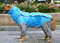 UPnKDog-Raincoat-Waterproof-Dog-Jumpsuit-Dot-Rain-Cape-For-Medium-Big-Dogs-Hooded-Jacket-Pet-Rain.jpg