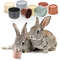 IWOyStacking-Cups-Toy-For-Rabbits-Multi-colored-Reusable-Small-Animals-Puzzle-Toys-For-Hiding-Food-Playing.jpg