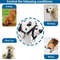 6pBKPet-Muzzle-Dog-Muzzle-Adjustable-Anti-biting-Nose-Hair-Mask-Pet-Traction-Set-Dog-Muzzle-Training.jpg