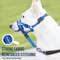 nfkQDog-Mouth-Muzzles-Anti-Bark-Dog-Collar-Breathable-Dog-Training-Tool-Nylon-Muzzle-Set-With-Reflective.jpg