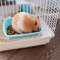 8I1rSmall-Pet-Food-Feeder-Bowl-Hamster-Cage-Hook-Up-Hanging-Bowl-Water-Drinking-Device-Bird-Squirrel.jpg