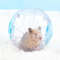 ux26Plastic-Outdoor-Sport-Ball-Grounder-Rat-Small-Pet-Mice-Jogging-Ball-Toy-Hamster-Gerbil-Exercise-Ball.jpg