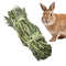 ovopBunny-Chew-Toys-Guinea-Pig-Grass-Ball-Gnawing-And-Teeth-Grinding-Snacks-To-Keep-Teeth-Clean.jpg
