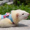 ihofStripe-Pet-Chest-Strap-Hamster-Rabbit-Bowtie-Harness-Vest-Leash-Traction-Rope-Ferrets-Rats-Bowknot-Chest.jpg