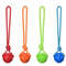 k2O5Dog-Ball-Indestructible-Chew-Bouncy-Rubber-Ball-Toys-Pet-Dog-Toy-Ball-with-String-Interactive-Toys.jpg